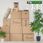 THShow