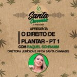 Santa Cannabis Podcast