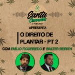 Santa Cannabis Podcast