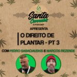 Santa Cannabis Podcast