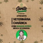 Santa Cannabis Podcast