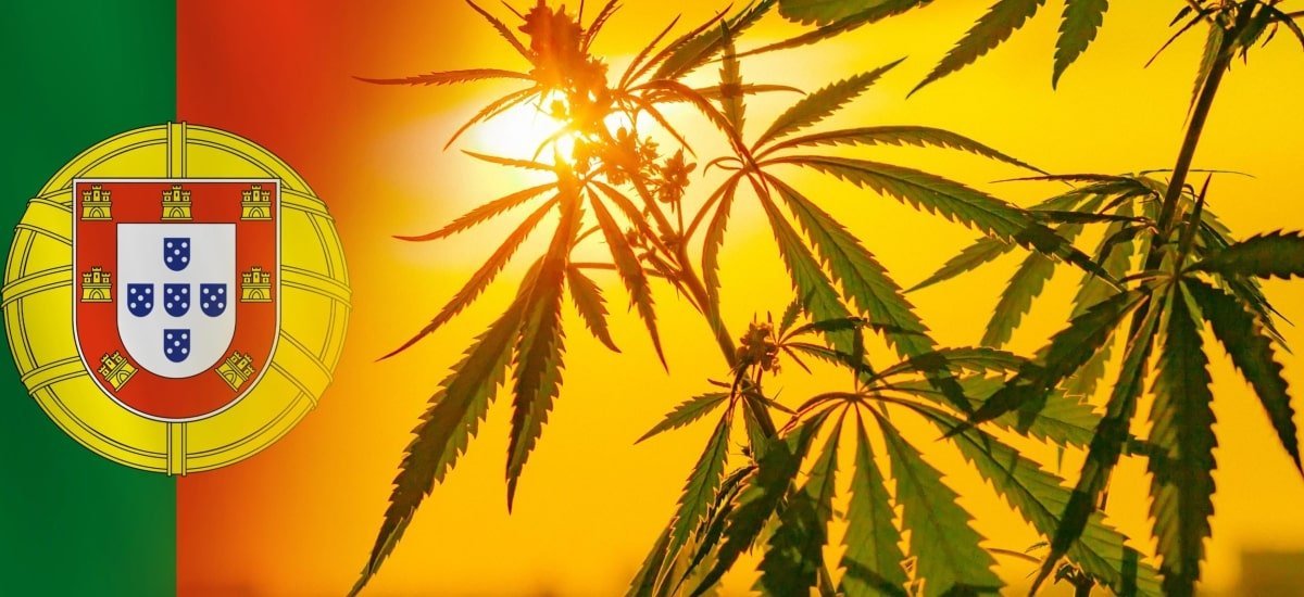 cannabis em portugal