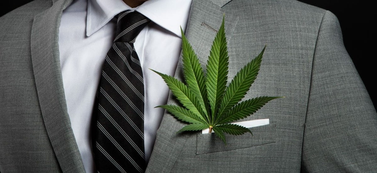 negócios de cannabis