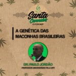 Santa Cannabis Podcast