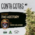 Santa Cannabis Podcast