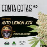 Santa Cannabis Podcast