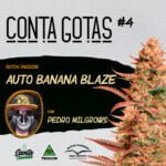 Santa Cannabis Podcast