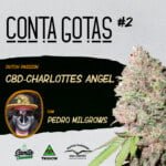 Santa Cannabis Podcast