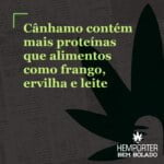 Hemporter - Hemp Trumpho