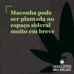 Hemporter - Hemp Trumpho