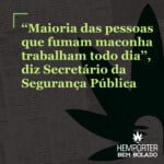 Hemporter - Hemp Trumpho
