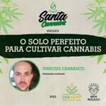 Santa Cannabis Podcast