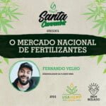 Santa Cannabis Podcast