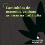 Hemporter - Hemp Trumpho