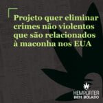 Hemporter - Hemp Trumpho