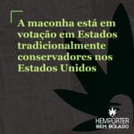 Hemporter - Hemp Trumpho