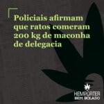 Hemporter - Hemp Trumpho
