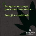 Hemporter - Hemp Trumpho