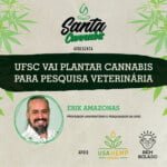 Santa Cannabis Podcast
