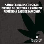 Hemporter - Hemp Trumpho