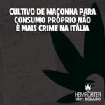 Hemporter - Hemp Trumpho