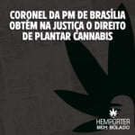 Hemporter - Hemp Trumpho