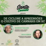 Santa Cannabis Podcast