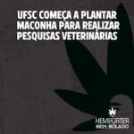 Hemporter - Hemp Trumpho