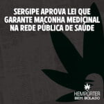 Hemporter - Hemp Trumpho
