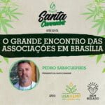 Santa Cannabis Podcast