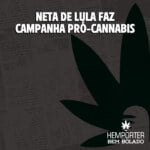 Hemporter - Hemp Trumpho
