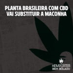 Hemporter - Hemp Trumpho