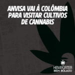 Hemporter - Hemp Trumpho