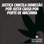 Hemporter - Hemp Trumpho