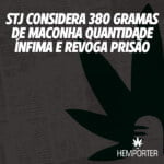Hemporter - Hemp Trumpho