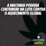 Hemporter - Hemp Trumpho