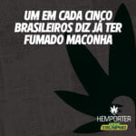 Hemporter - Hemp Trumpho
