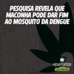Hemporter - Hemp Trumpho