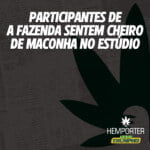 Hemporter - Hemp Trumpho