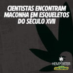 Hemporter - Hemp Trumpho