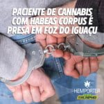 Hemporter - Hemp Trumpho