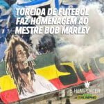 Hemporter - Hemp Trumpho