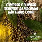 Hemporter - Hemp Trumpho