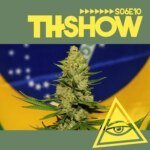 THShow