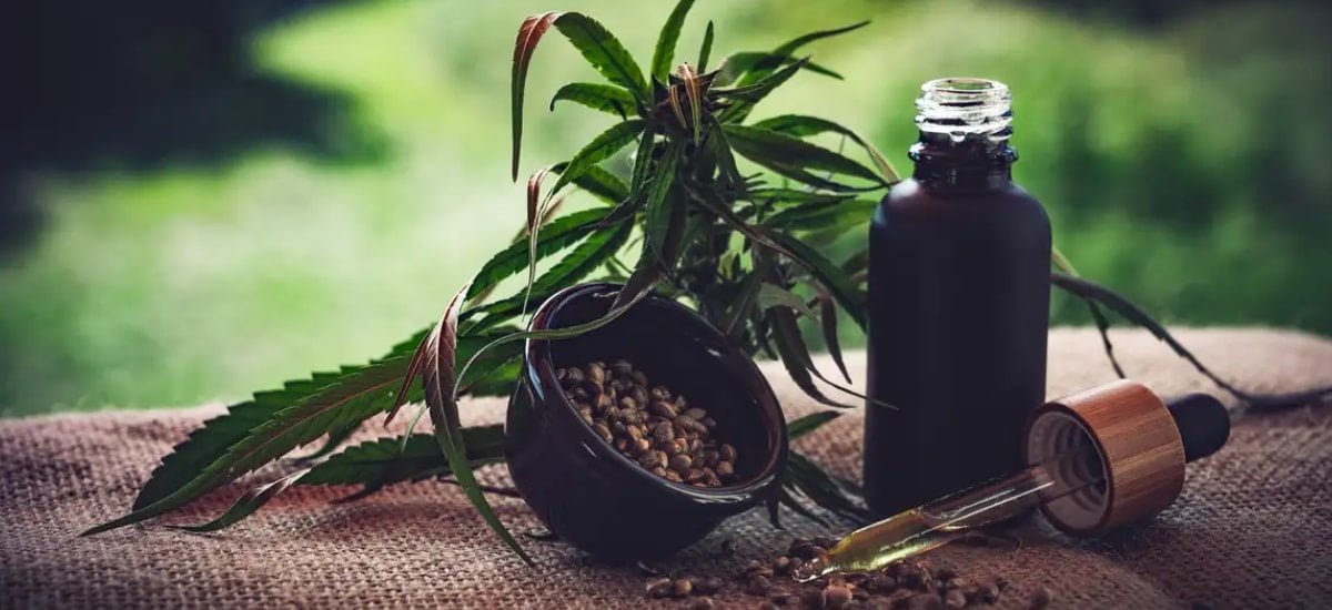 ministerio da saude fornece cannabis frasco
