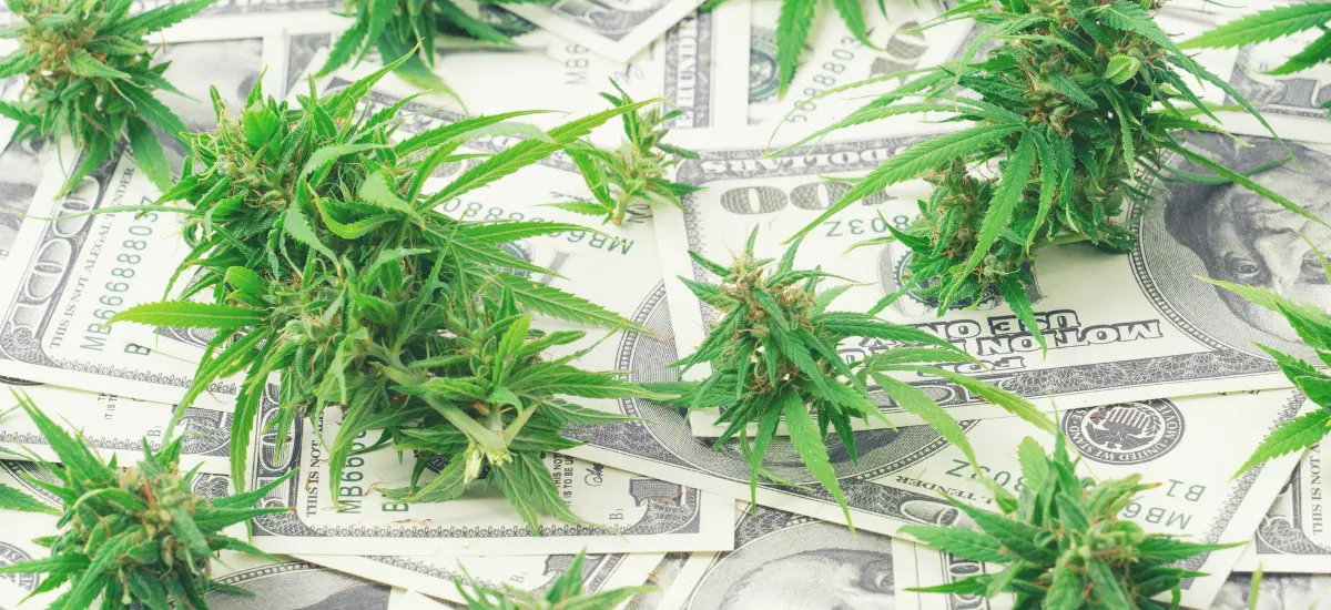 cannabis medicinal